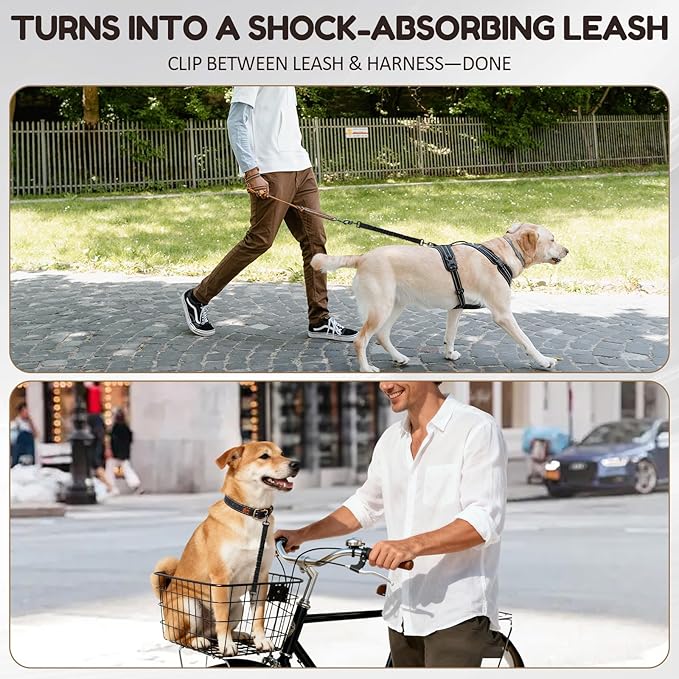 2Pack Dog Seat Belt for Bike Basket,Retractable Pupper Leash for Bike Basket,Canine Bikes Basket Leash,Elastic Pet Seat Belt for Dogs,Seatbelt Leashs for Dogs (Black)